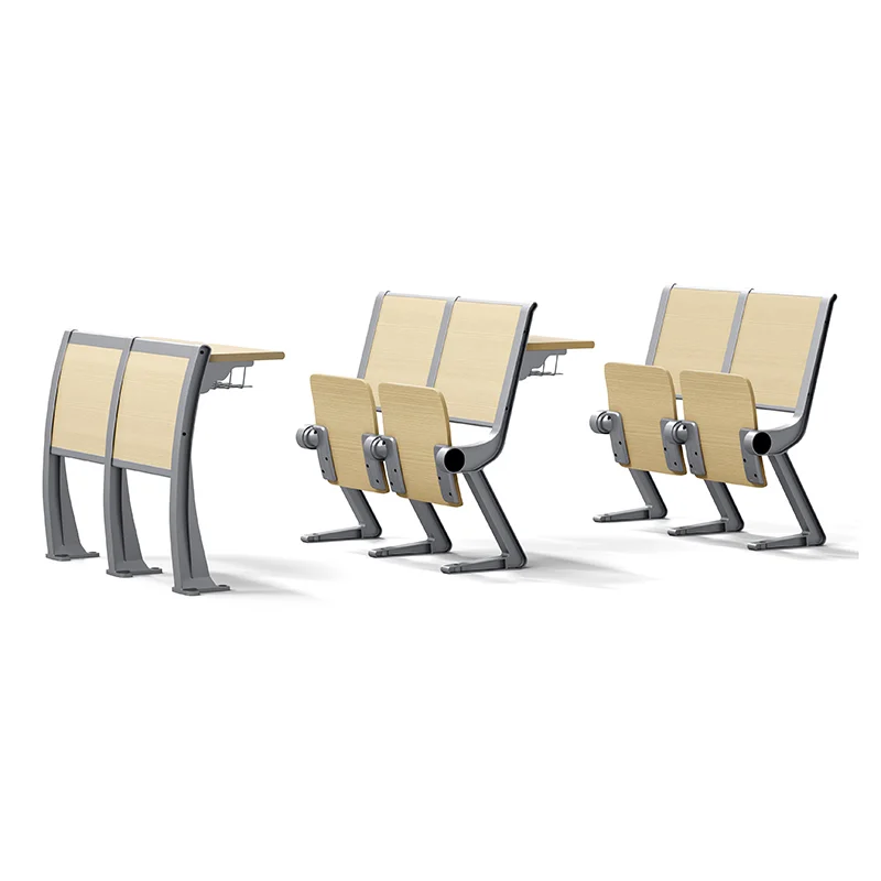 FLYA tiered seating in lecture hall with podium and teaching area at front.